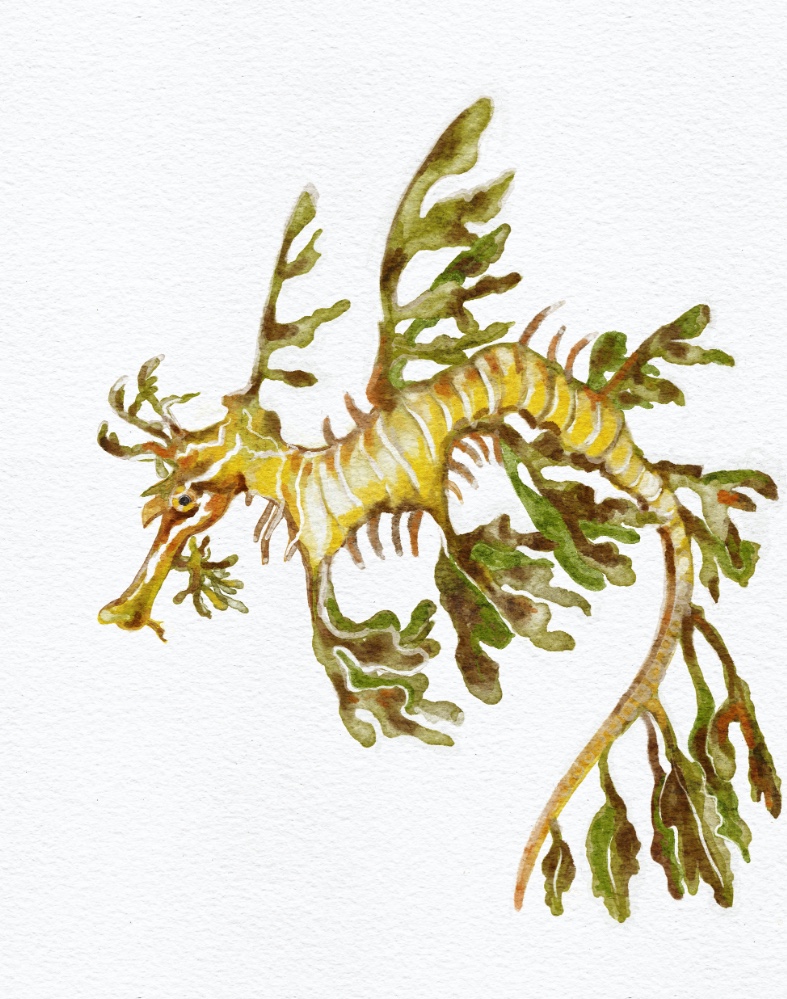 Kelly anne Abbott
