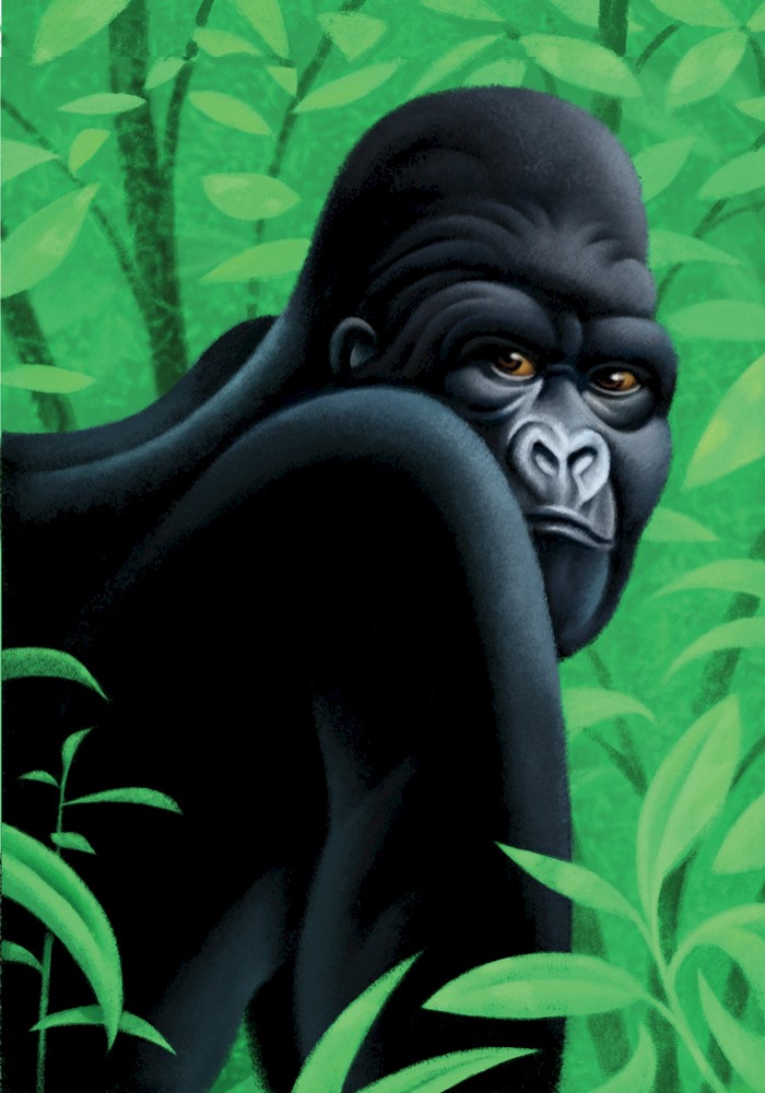 Andrew Hopgood
