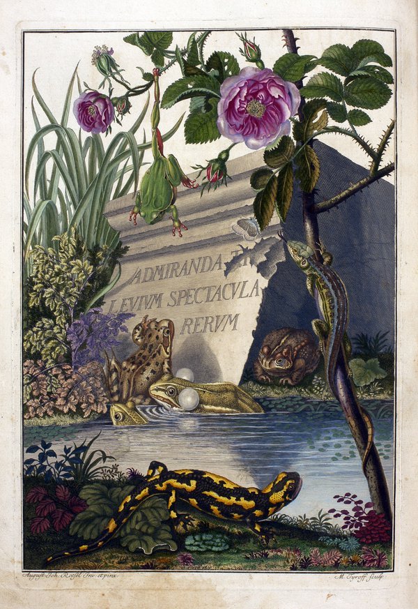 Australian Museum natural history book collection